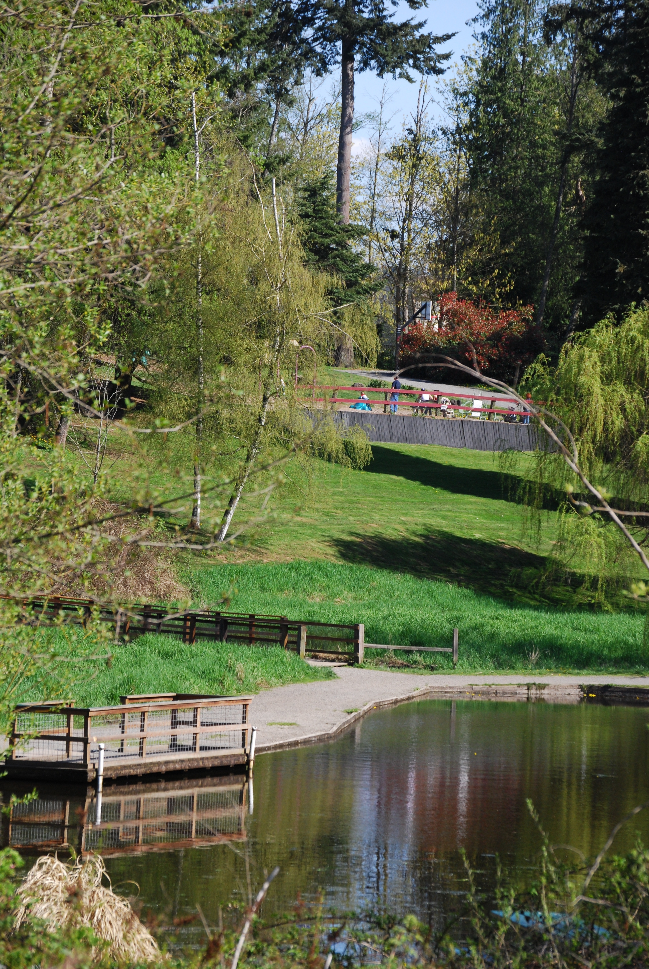 Jenning Park sceen Fixed